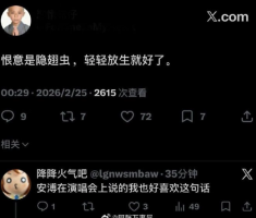“恨意是隐翅虫，轻轻放生就好了”是什么意思？