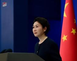 是否考虑从巴阿两国撤侨？中方回应 密切关注局势发展