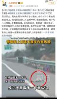 300公里高速发现62具宠物尸体 春节返程路上的惨烈真相