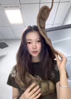 大连女子携巨大豆荚乘机回家 梦中情豆引关注