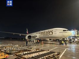 迪拜首架回国航班已落地广州 滞留旅客平安归国