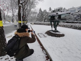 北京雪景如画，感受别样的春日浪漫