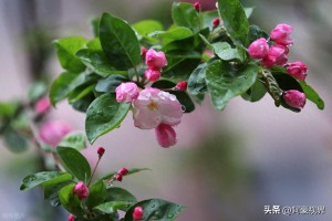 “倒春寒来不来，就看正月十八”，今日正月十八，今年是冷春吗？