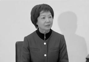 委员建议建立全国统一换电标准 推动补能体系完善