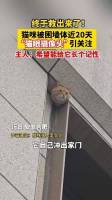 全网关注的“猫眼摄像头”被救了 饥饿激励助其脱困