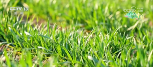 千里沃野奏响春耕春管 “奋进曲”