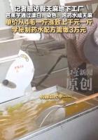 黑工厂制假天麻现场触目惊心 揭秘芭蕉芋变身全过程