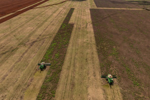 涉大豆出口，巴西将派团赴华磋商
