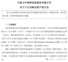 中企8元买下1800万德国企业 超值收购引发关注