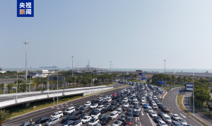 “北上”港澳单牌车创历史同期新高