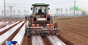 春天里的中国正上演“耕耘绽放”双重奏