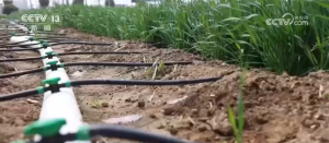 各地多措并举全力做好春灌“水文章”