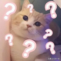 小学生的大问题 大学生的小问题 双向问答引共鸣