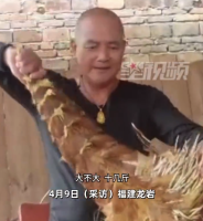 竹笋顶破水泥地板 房主：吃了很甜