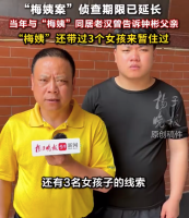 梅姨年龄长相仍处于保密期 梅姨案被拐儿童或有女孩