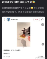 华晨宇给猫报平安 生龙活虎证明无恙