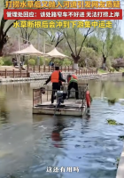 官方回应打捞完的水草被抛回河里 担忧船翻采取措施