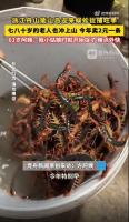 浙江一海岛迎捉蜈蚣旺季 金头蜈蚣成特色产业