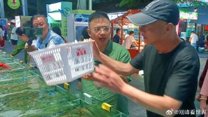 三亚的海鲜“贵在哪里” 多因素共同作用