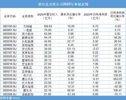 北交所部分新三板公司营收超百亿 业绩稳健增长
