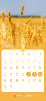 放假通知！3天！高速不免费！