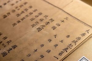 印媒：中印磋商联合申遗《大唐西域记》