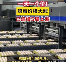 鸡蛋为什么开始“贵过肉” 供需错配推高价格