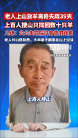 老人放羊失踪39天 仅数十只羊被找回 搜寻仍在继续