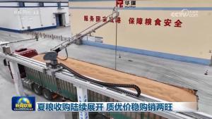 夏粮收购陆续展开 质优价稳购销两旺 智能装备助力高效入库