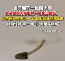 重庆连下大雨天花板长出蘑菇 顶楼漏水警钟