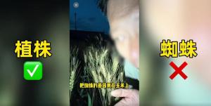 农业谣言岂能如此“变态” 诋毁科研成果