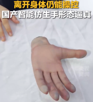 国产智能仿生手亮相 远程操控丝滑流畅