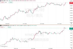 加息也挡不住！油价蝴蝶效应袭来，对冲基金将纽元空头推至历史峰值 能源压力加剧经济担忧