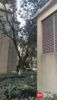 18楼坠楼女孩苏醒男友欲闯病房 家属透露事件经过