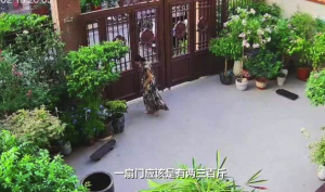数百斤大门突然倒下 女子用身体死死撑住