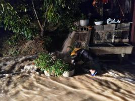 台风致池塘堵塞 村干部潜水徒手疏通 风雨中的坚守与承诺