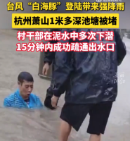 台风致1米多深池塘被堵 村干部泥水中多次下潜疏通出水口