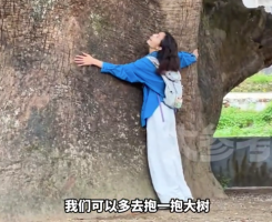万物生长靠太阳！能量低就去公园抱抱树
