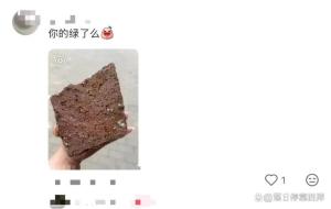 打工人上班搬砖下班养砖 低维护的自我陪伴