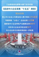 促进中小企业发展十五五规划发布 量质齐升目标明确