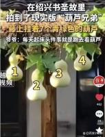 爷爷提前剪葫芦是给流量的一记耳光 还心灵一处静谧