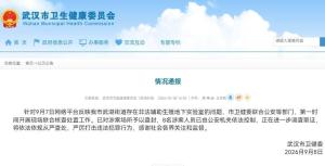 武汉非法代孕地下实验室被查封 8名涉案人员被控制