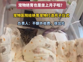 月子中心的风刮到了宠物医院 医院：仪式不加价，绝育价格多年未变