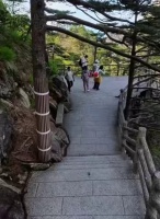 女子称爬黄山遭猴群围攻 游客惊魂经历引关注