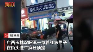 一红衣男子街头遭牛疯狂顶撞 人已无生命危险