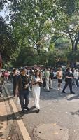 杭州满觉陇迎来赏桂高峰 桂花香引游人如织