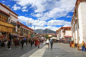 同心同行托举就业梦——我区就业援藏工作掠影