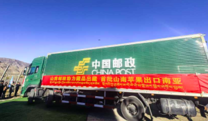 ​2025年1至4月西藏外贸发展：奋力跑出对外开放“加速度”