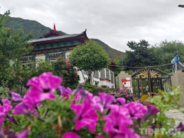 总书记回信暖高原 嘎拉村盛开民族团结之花