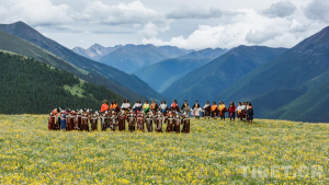 中国松茸之乡2025雅江松茸开山季即将启幕